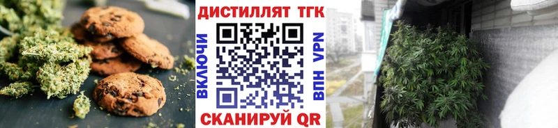 Купить где Пионерский Cannafood конопля