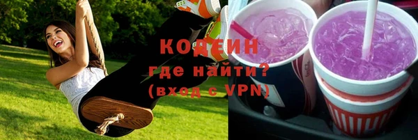 прущие грибы Горнозаводск