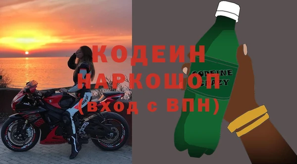 МДПВ Гусев