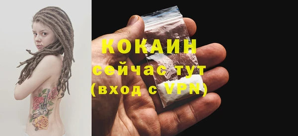 дживик Горняк