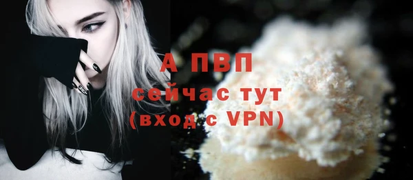 дживик Горняк