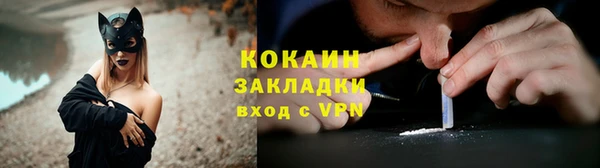 МДПВ Гусев