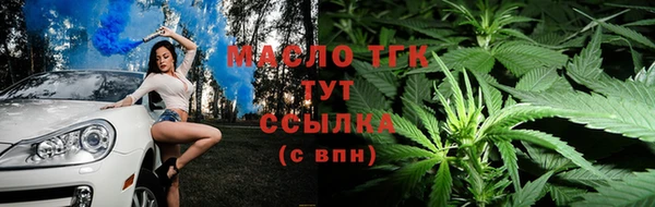 дживик Горняк