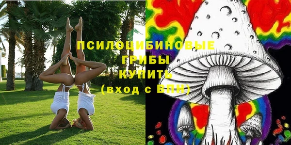 прущие грибы Горнозаводск