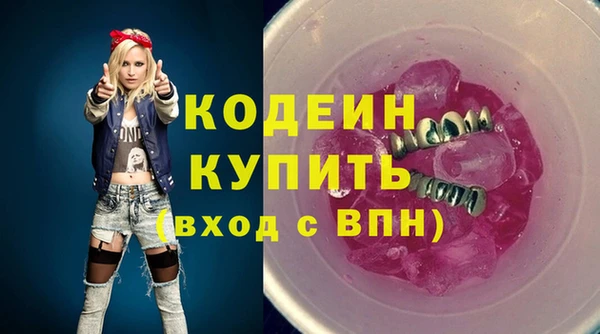 МДПВ Гусев