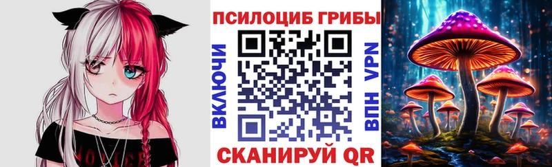 Псилоцибиновые грибы мицелий Купить где Пионерский